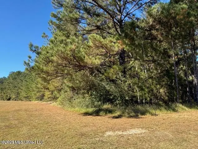6.25ac Knob Town Rd, State Line, MS 39362 - #1