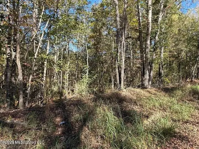 6.25ac Knob Town Rd, State Line, MS 39362 - #2