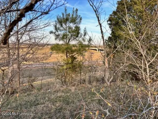 100 Dempsey Dr., Byhalia, MS 38611