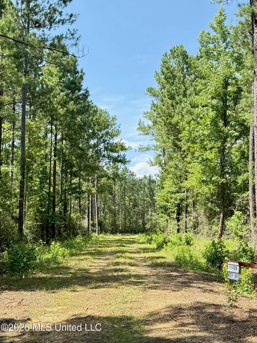 Storey Parkman, Oak Vale, MS 39656 - #3