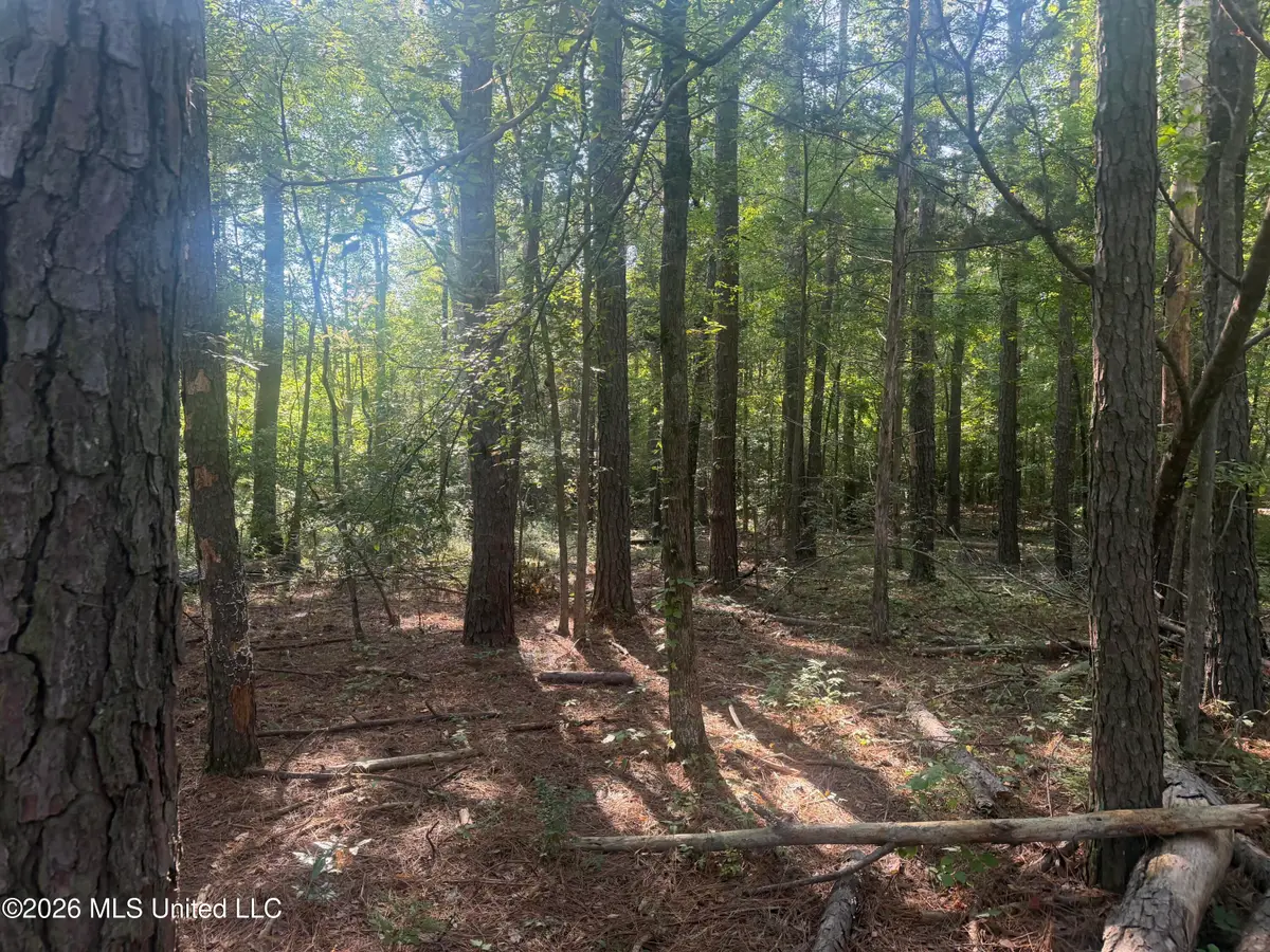0 Mountain Creek Farm Road, Florence, MS 39073 - #1