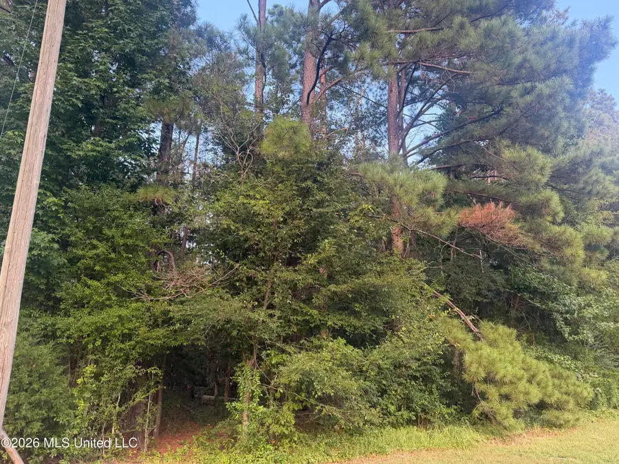 0 Mountain Creek Farm Road, Florence, MS 39073 - #3