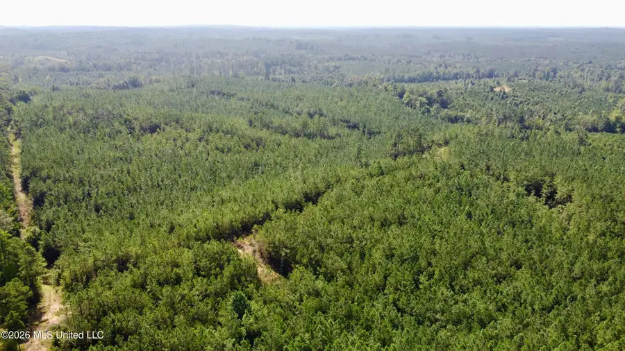 Seymour Road, Kilmichael, MS 39747 - #3