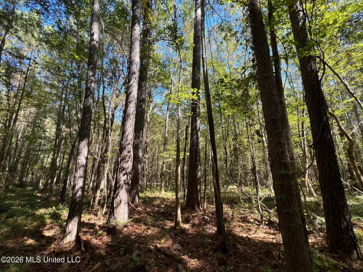 Highway 84, Roxie, MS 39661 - #1
