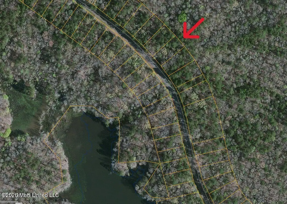 0 S Ross Road, Utica, MS 39175 - #1