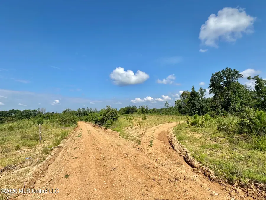2 Will Womack, Mantee, MS 39751 - #3