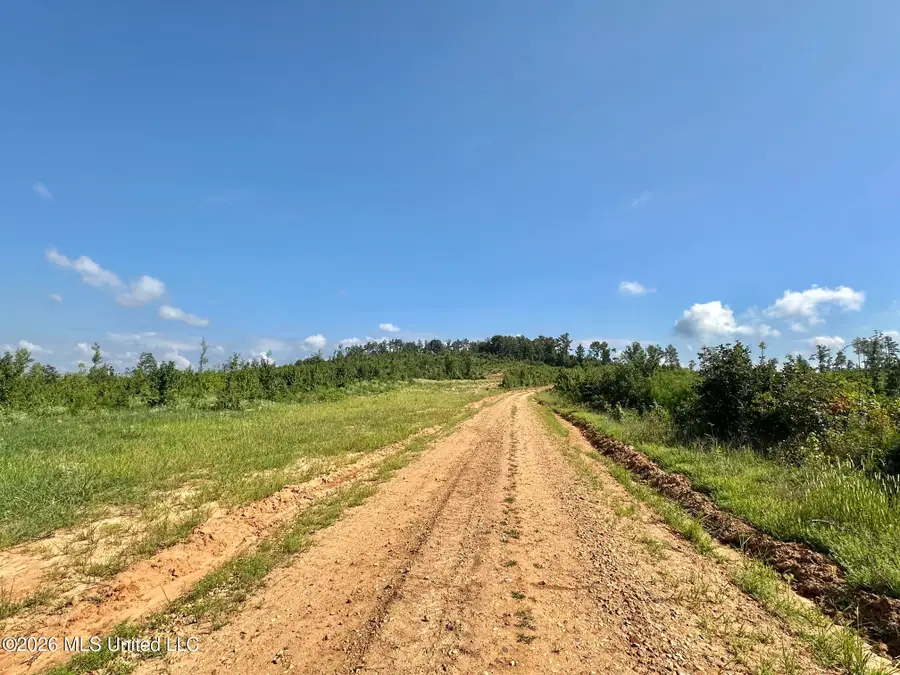 3 Will Womack, Mantee, MS 39751 - #3
