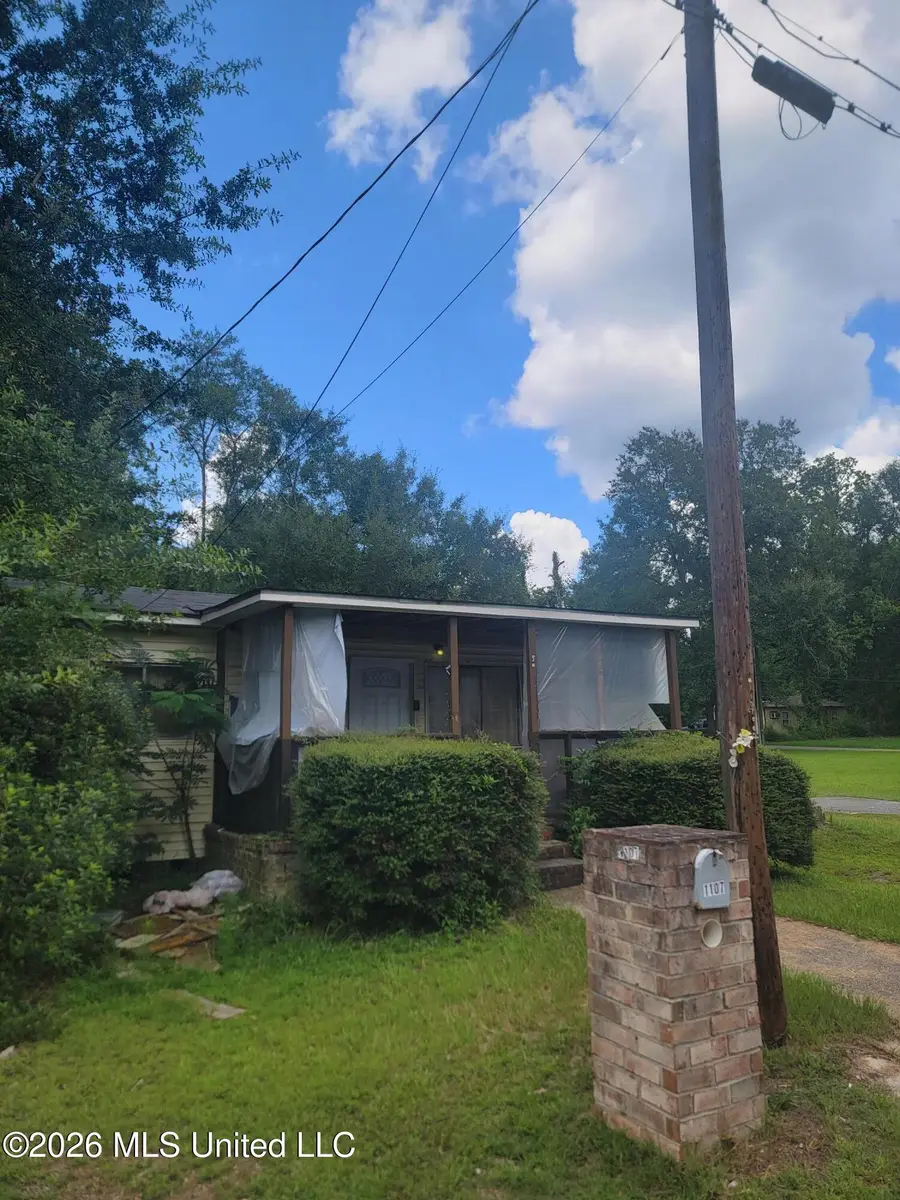1107 Roosevelt Street, Picayune, MS 39466 - #2