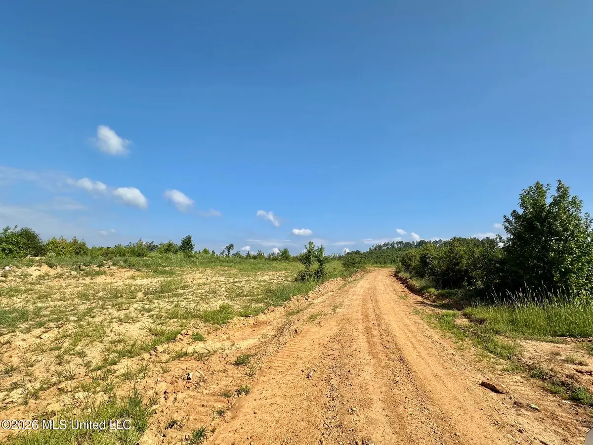 5 Will Womack, Mantee, MS 39751 - #1