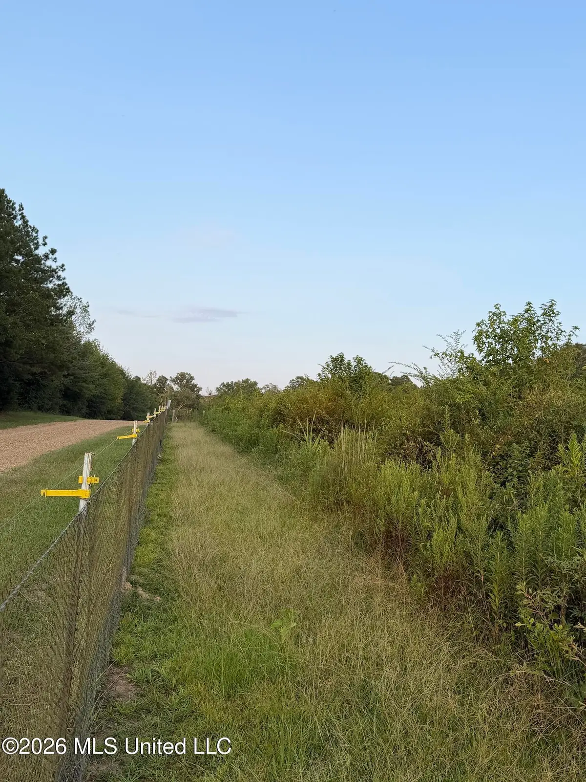 SW Jordan Drive, Smithdale, MS 39664 - #1