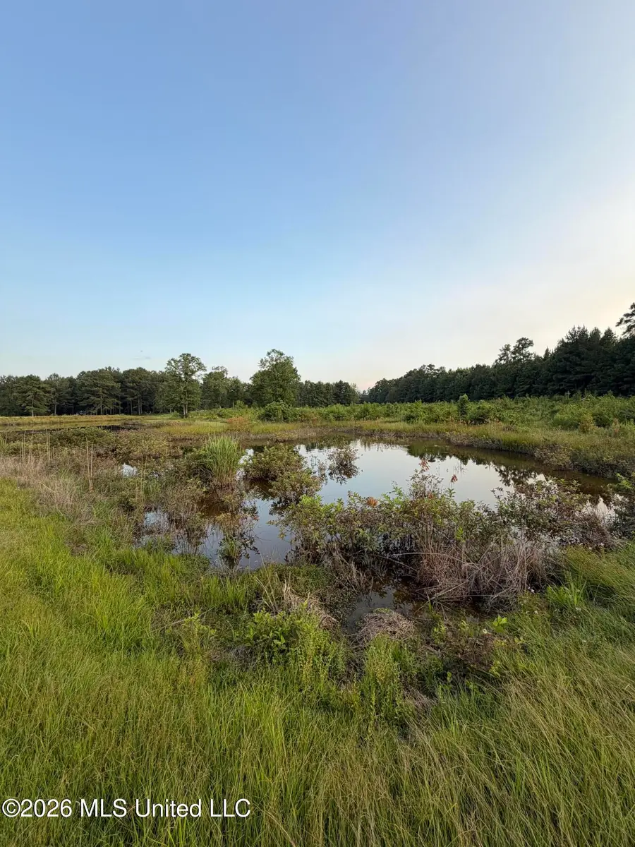 SW Jordan Drive, Smithdale, MS 39664 - #3