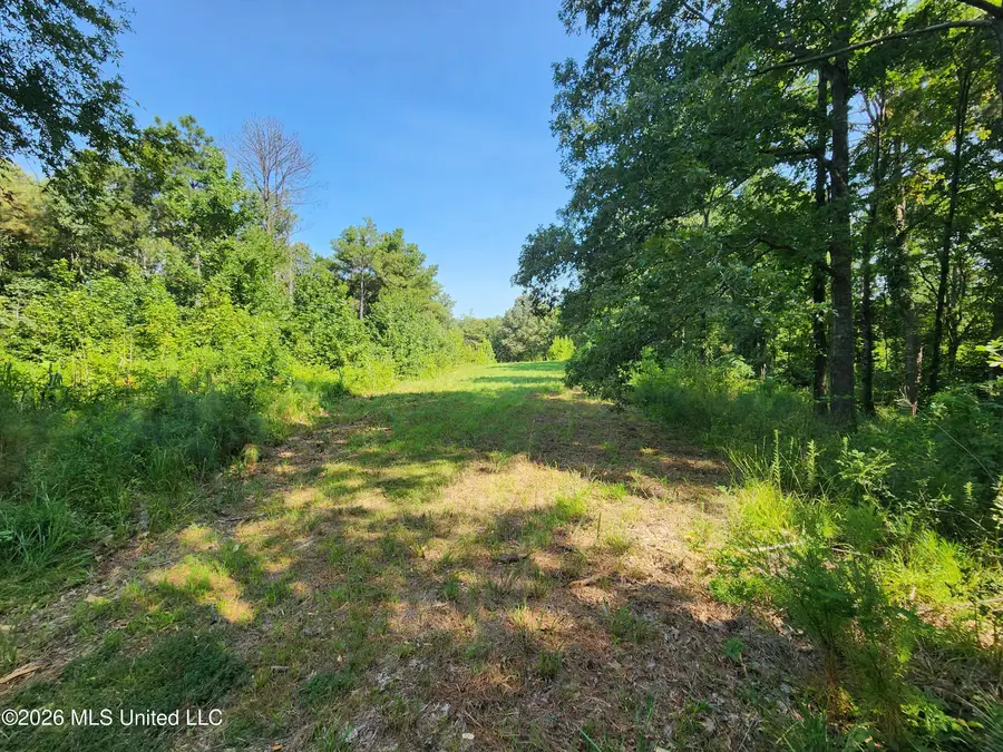 Barnacre Road, Batesville, MS 38606 - #3