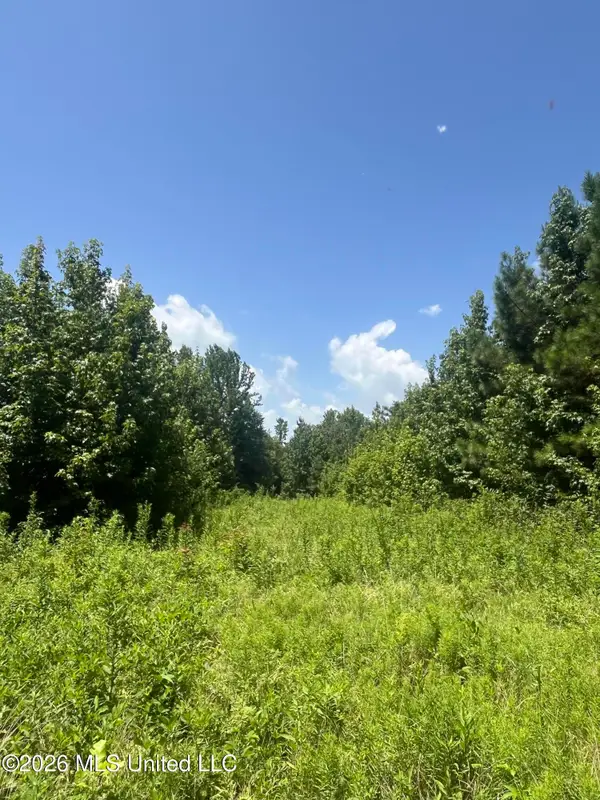 Burton Road, Senatobia, MS 38668