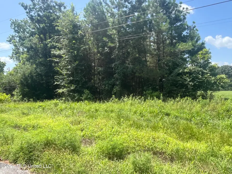 Burton Road, Senatobia, MS 38668 - #2