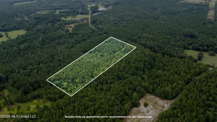 Silver Run-progress Road, Perkinston, MS 39573 - #3