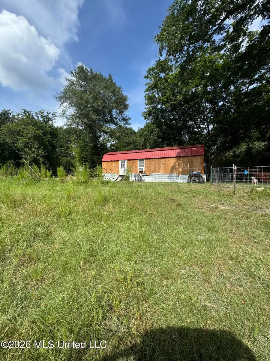 386 S Co Road 111-a, Raleigh, MS 39153 - #3