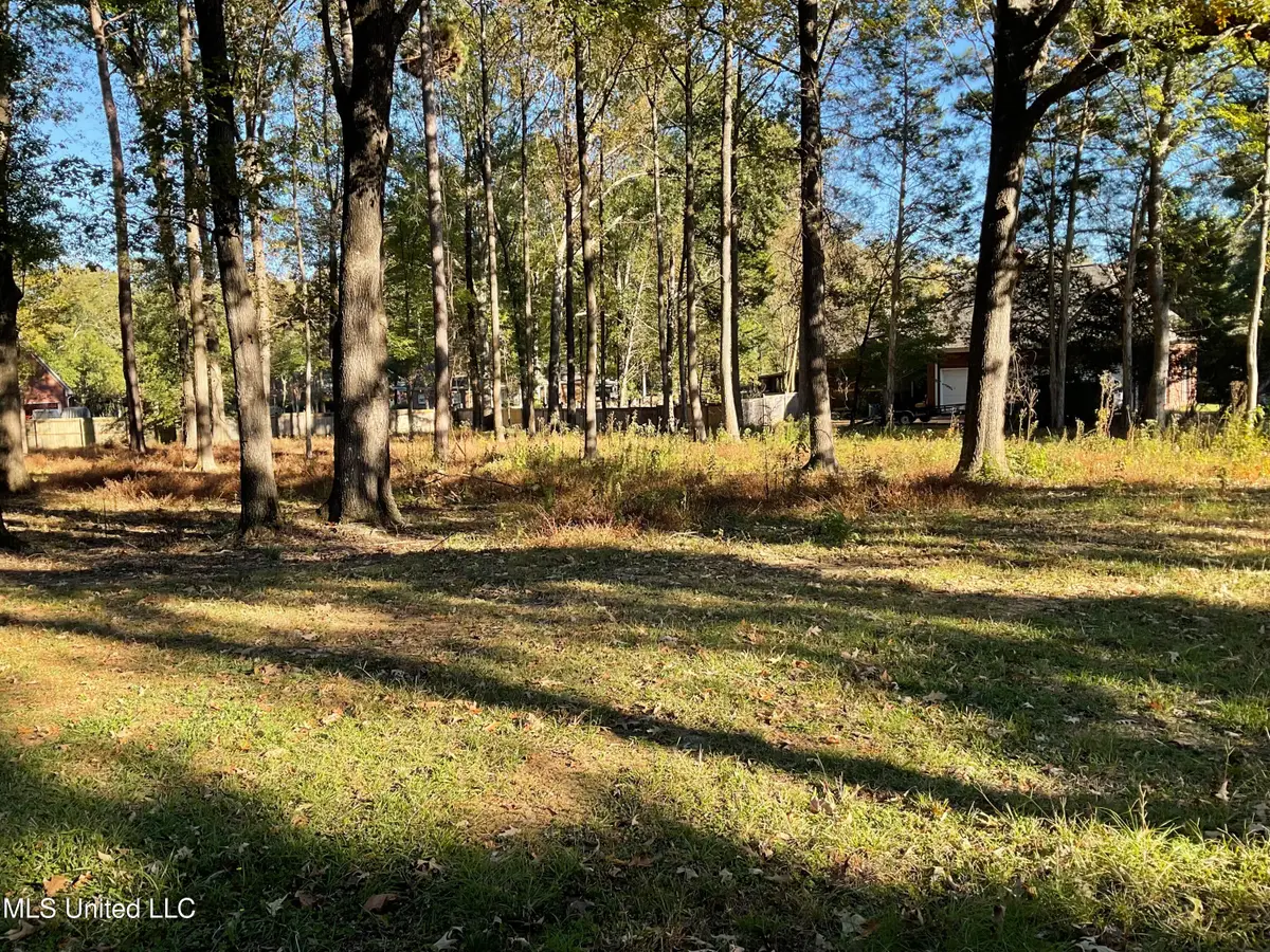 0 Lafayette Circle, Clinton, MS 39056 - #1