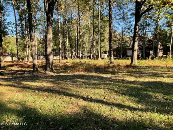 0 Lafayette Circle, Clinton, MS 39056