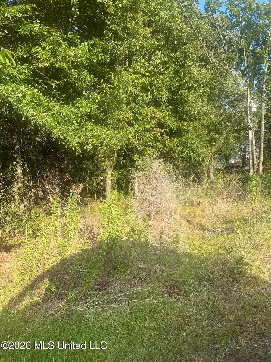 Lake Dockery Road, Byram, MS 39272 - #3