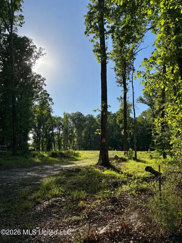 229 Barnes Road, Florence, MS 39073