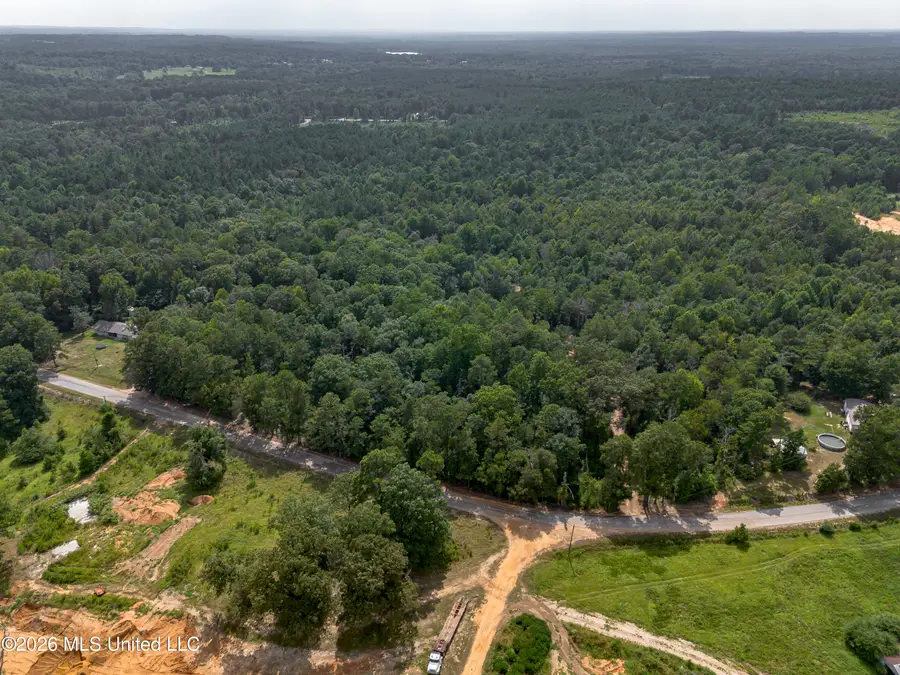 S Main Street, Mendenhall, MS 39114 - #3