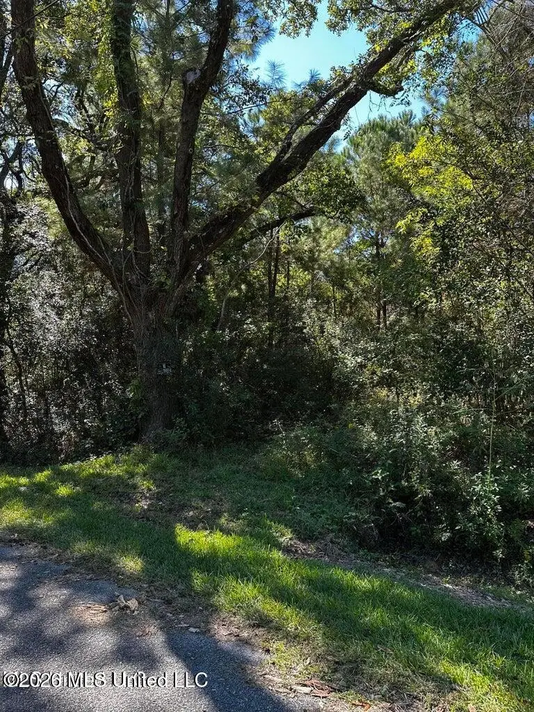 6611 Omaha Street, Biloxi, MS 39532 - #2