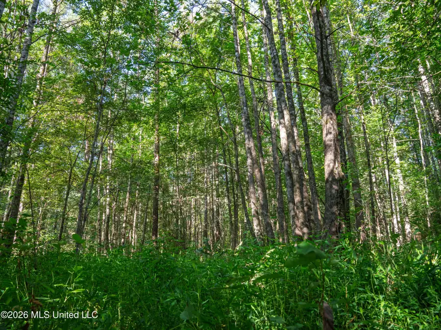 Mississippi 12, Durant, MS 39063 - #3