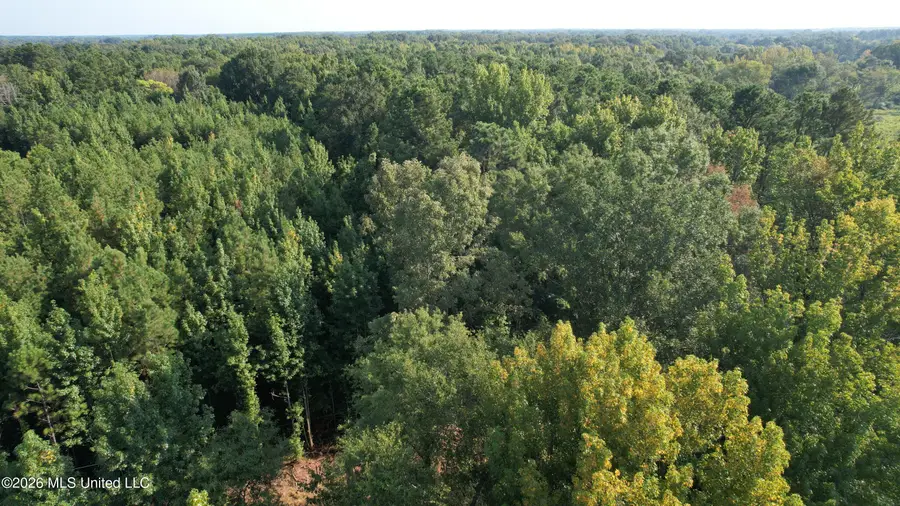 0 Dampeer Road, Canton, MS 39046 - #3