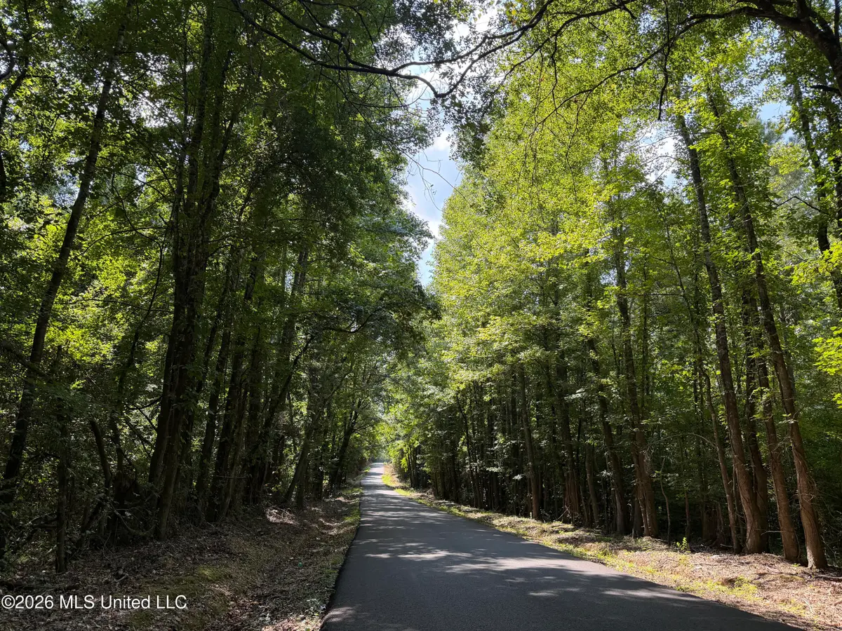 Church Road, Goodman, MS 39079 - #1