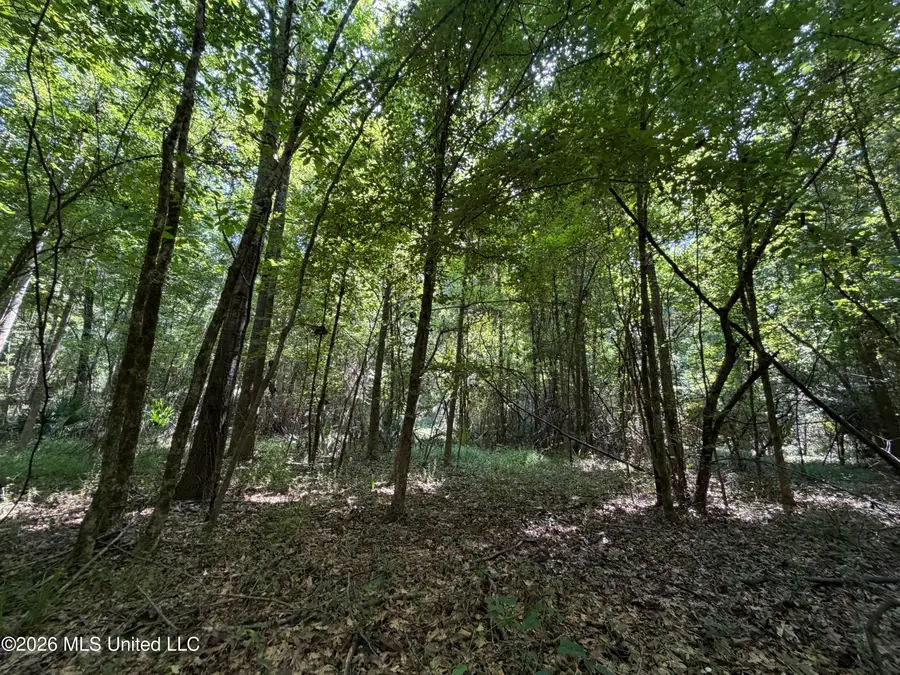 Church Road, Goodman, MS 39079 - #2