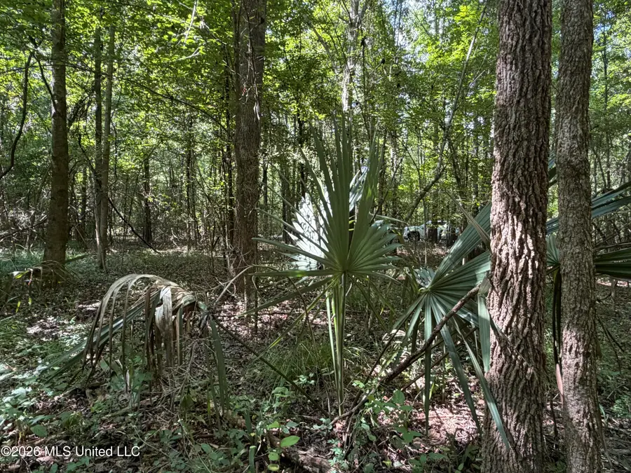 Church Road, Goodman, MS 39079 - #3