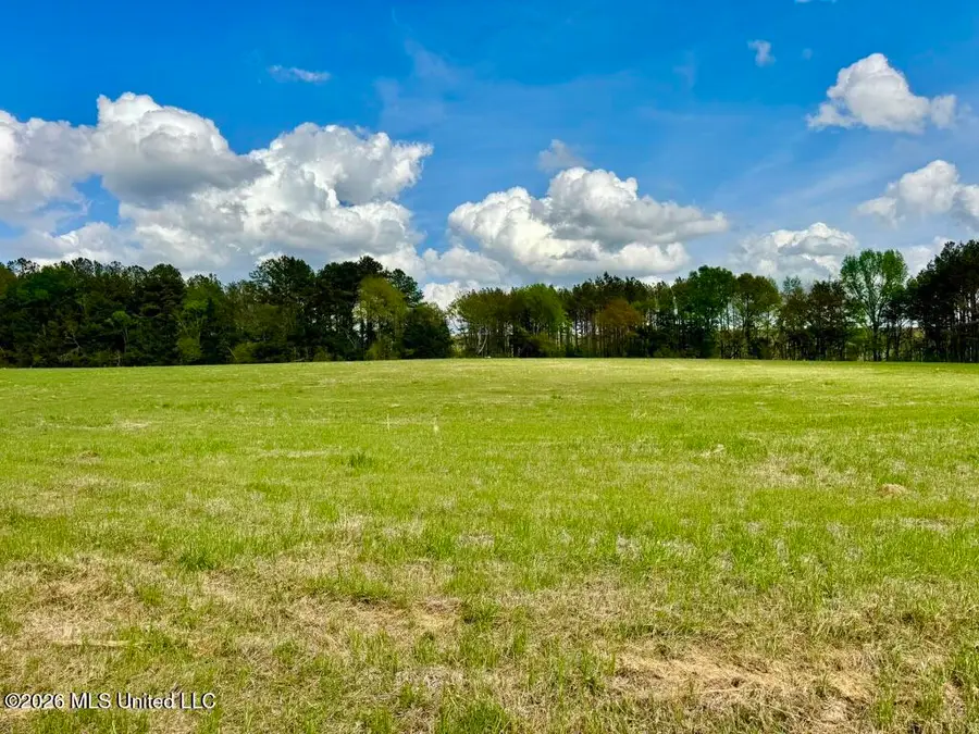 0035 Stump Bridge Road, Canton, MS 39046 - #2
