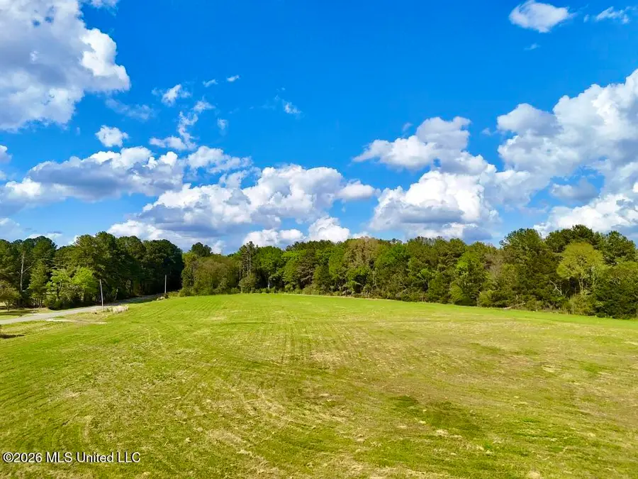 0035 Stump Bridge Road, Canton, MS 39046 - #3