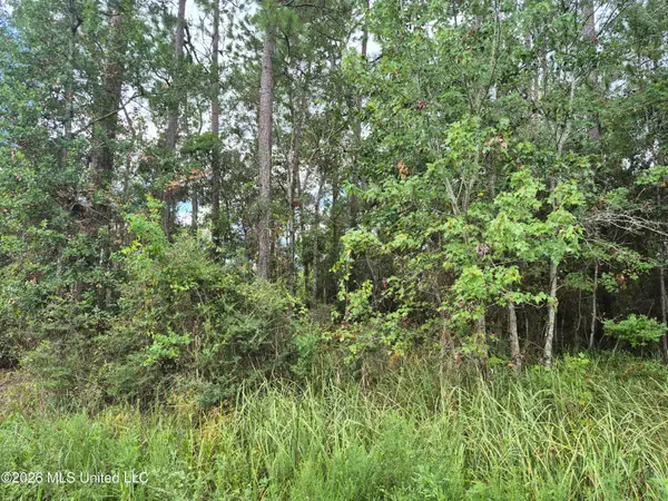 Pacific Street, Bay Saint Louis, MS 39520