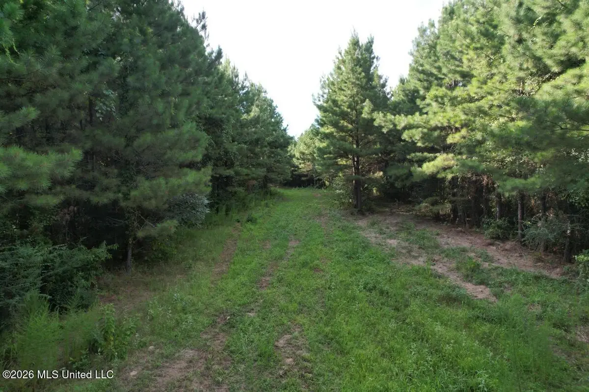 Old Oldenburg Road, Meadville, MS 39653 - #1