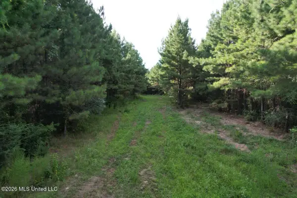 Old Oldenburg Road, Meadville, MS 39653