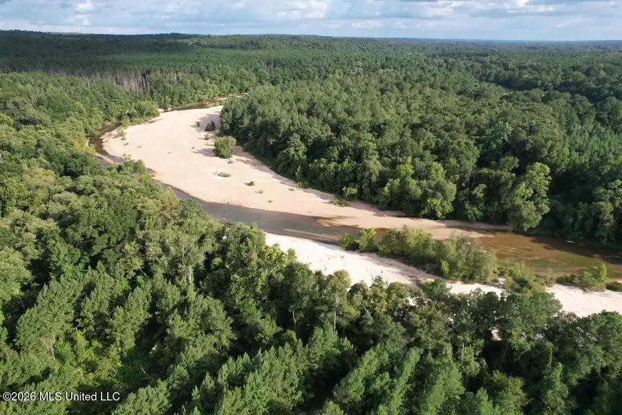 Old Oldenburg Road, Meadville, MS 39653 - #2