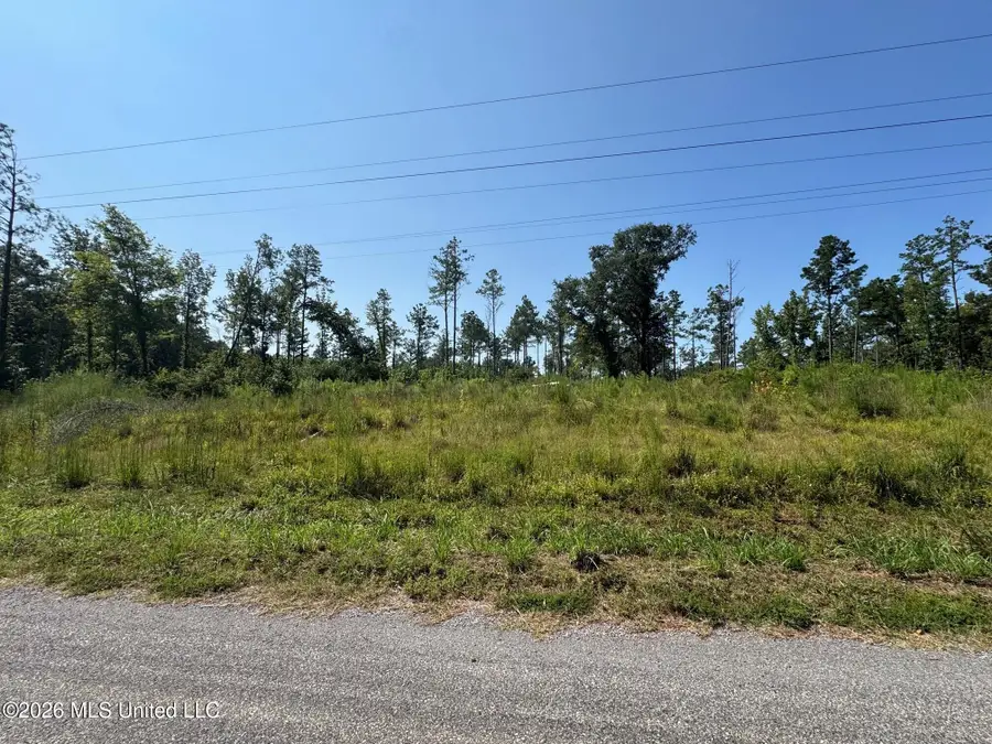 Lot 5 Mac Pate Road, West Point, MS 39773 - #2