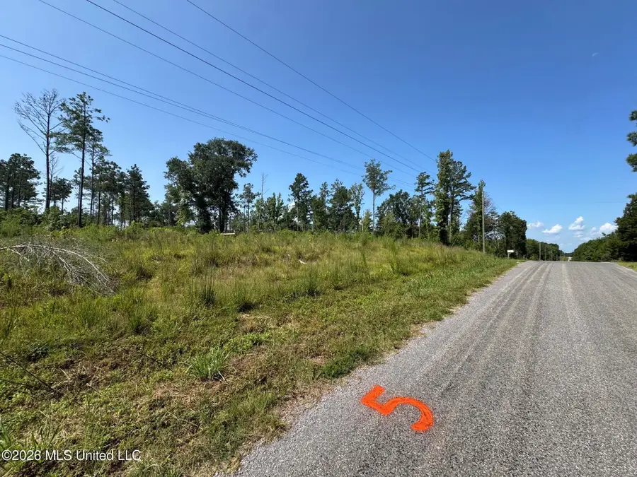 Lot 5 Mac Pate Road, West Point, MS 39773 - #3