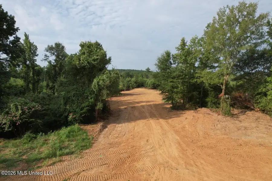 Old Oldenburg Road, Meadville, MS 39653 - #2