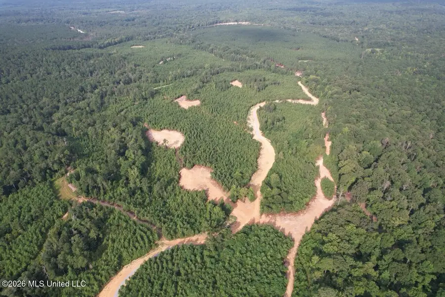 Old Oldenburg Road, Meadville, MS 39653 - #3