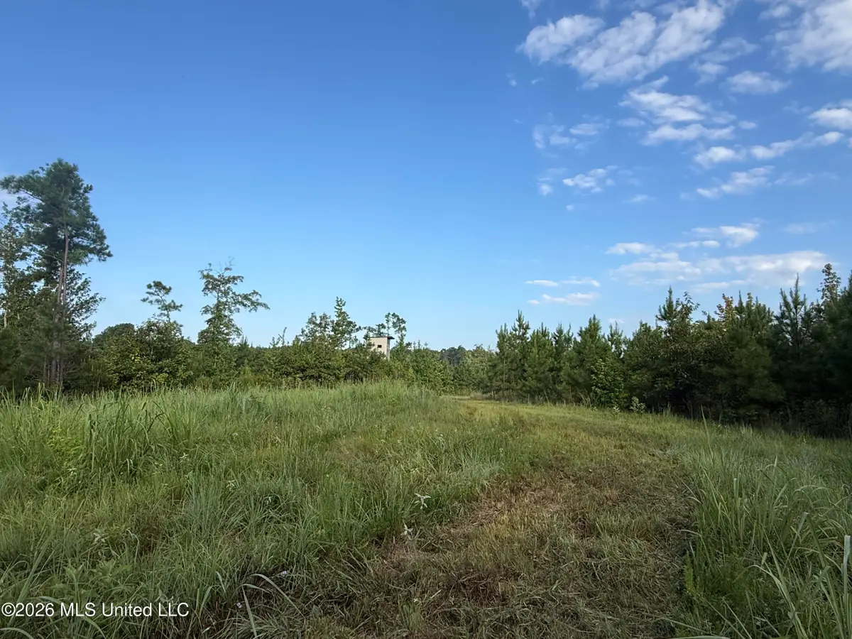Co Rd 4102, Sallis, MS 39160 - #1