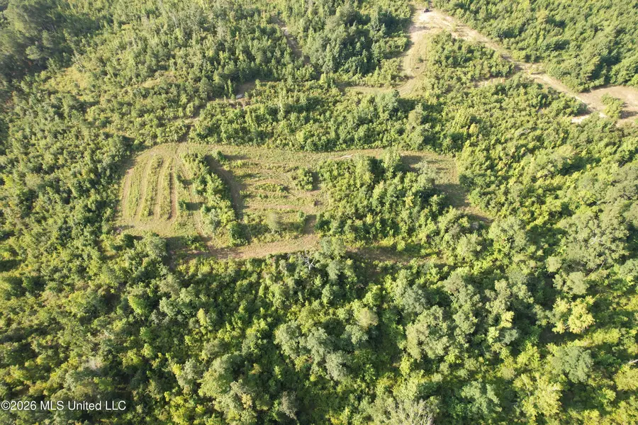 Co Rd 4102, Sallis, MS 39160 - #3