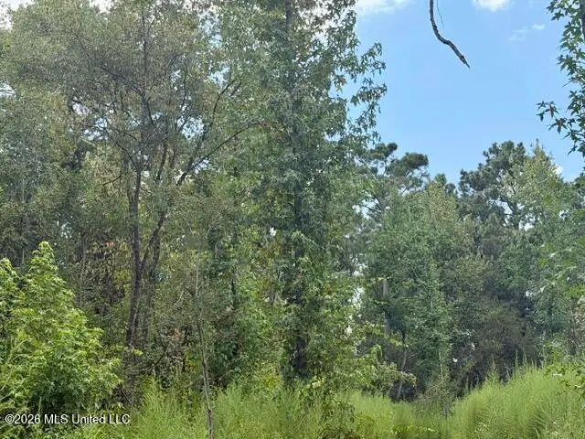 71 Fulgham Road, Tylertown, MS 39667 - #3