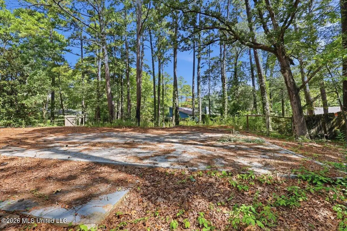 138 Dogwood Circle, Brandon, MS 39047 - #1