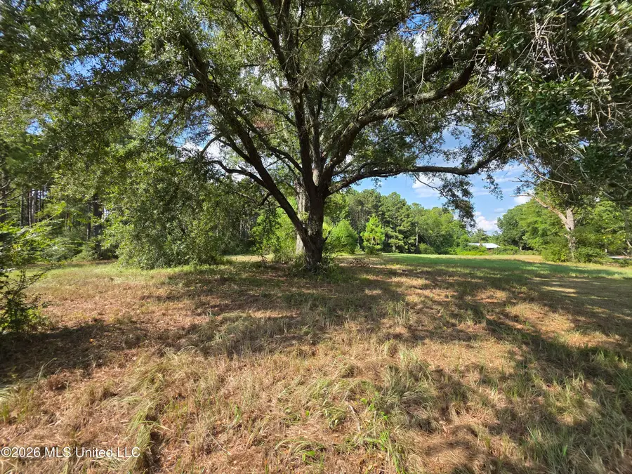 325 Double Ponds Road, Prentiss, MS 39474 - #3