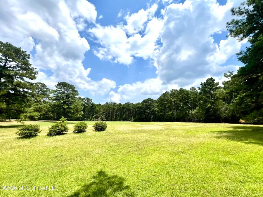 978 Butler Rd Se, Smithdale, MS 39664 - #2