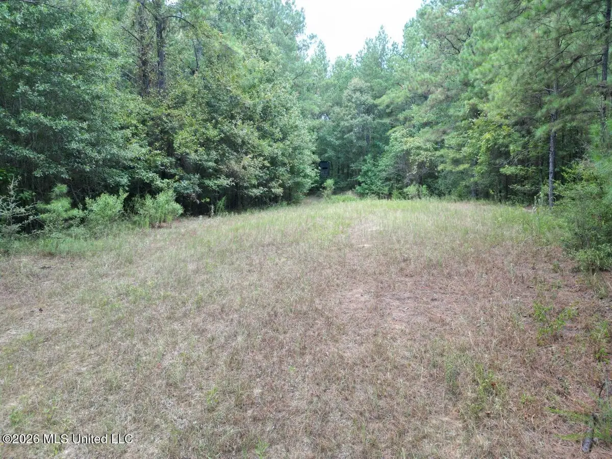 498 Tennessee Street, Roxie, MS 39661 - #1