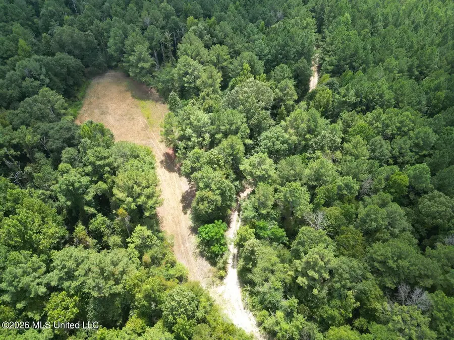 498 Tennessee Street, Roxie, MS 39661 - #3
