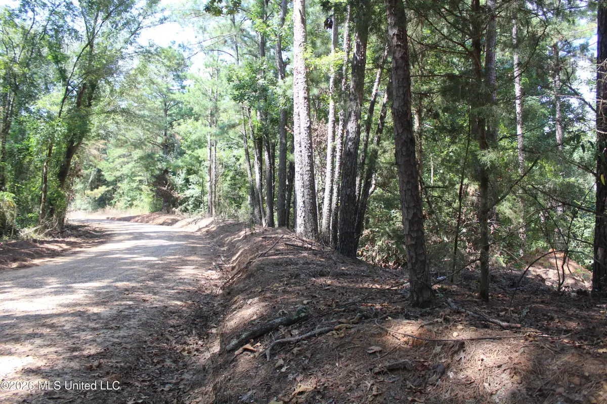 Rosebud School Road, Walnut Grove, MS 39189 - #1